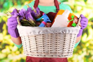 Basket full of cleaning supplies