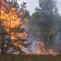 Wildfires Growing Among Communities in Our Country