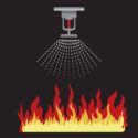 Why You Should Trust a Professional to Install Fire Sprinklers